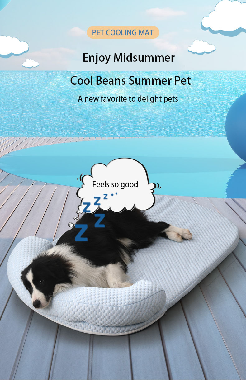 Ice Bean Pillow Pad