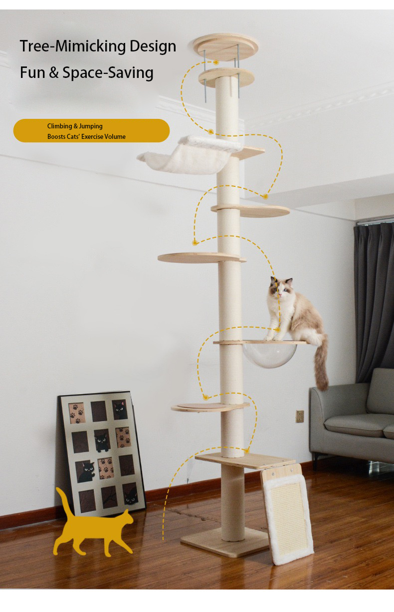 floor-to-ceiling cat tree