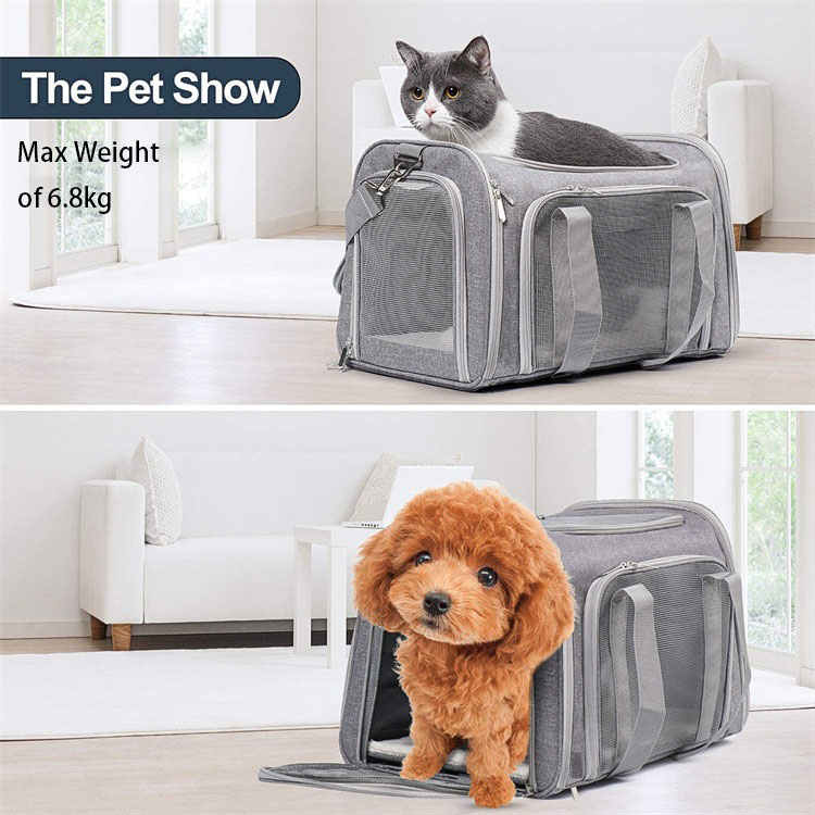 Car-Friendly Pet Carrier